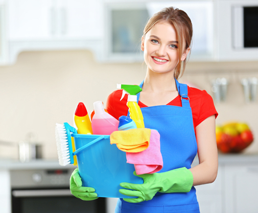Household Scheduling Software