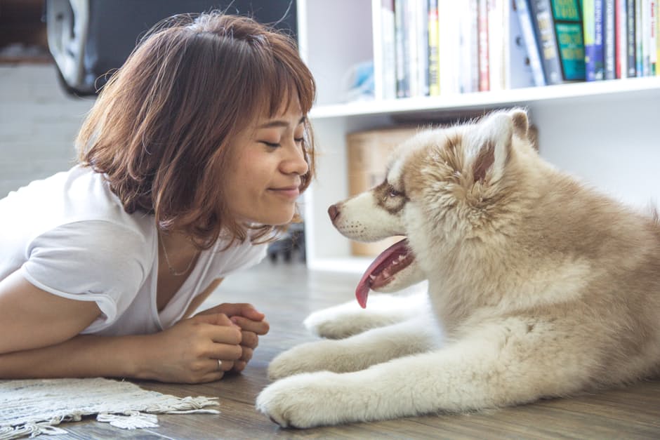Pet Services Scheduling Software