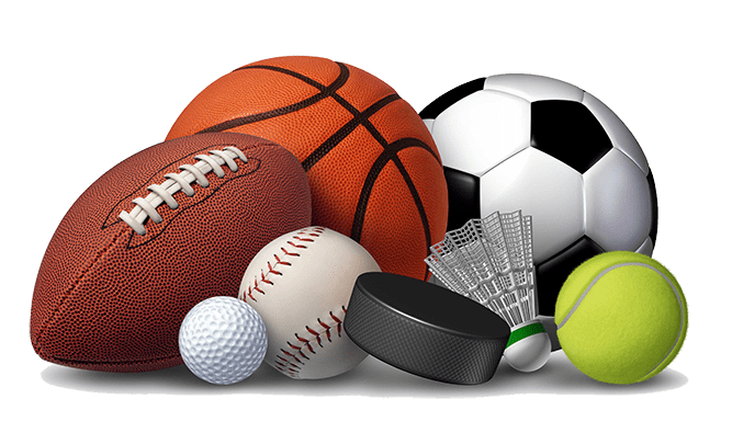 Sport Items Renting Scheduling Software